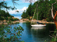 Yacht tied up in harbour